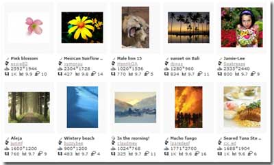 stock-hchng-free-photo.jpg