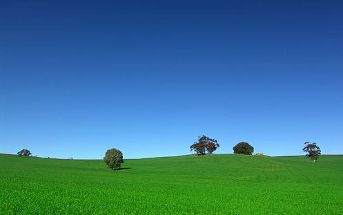 crestock-160333-2560x1600.jpg