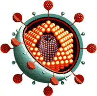 virus.gif